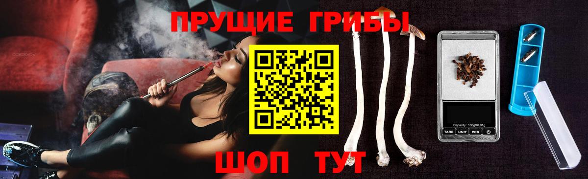 Учалы  Галлюциногенные грибы Psilocybe  Вход с VPN 